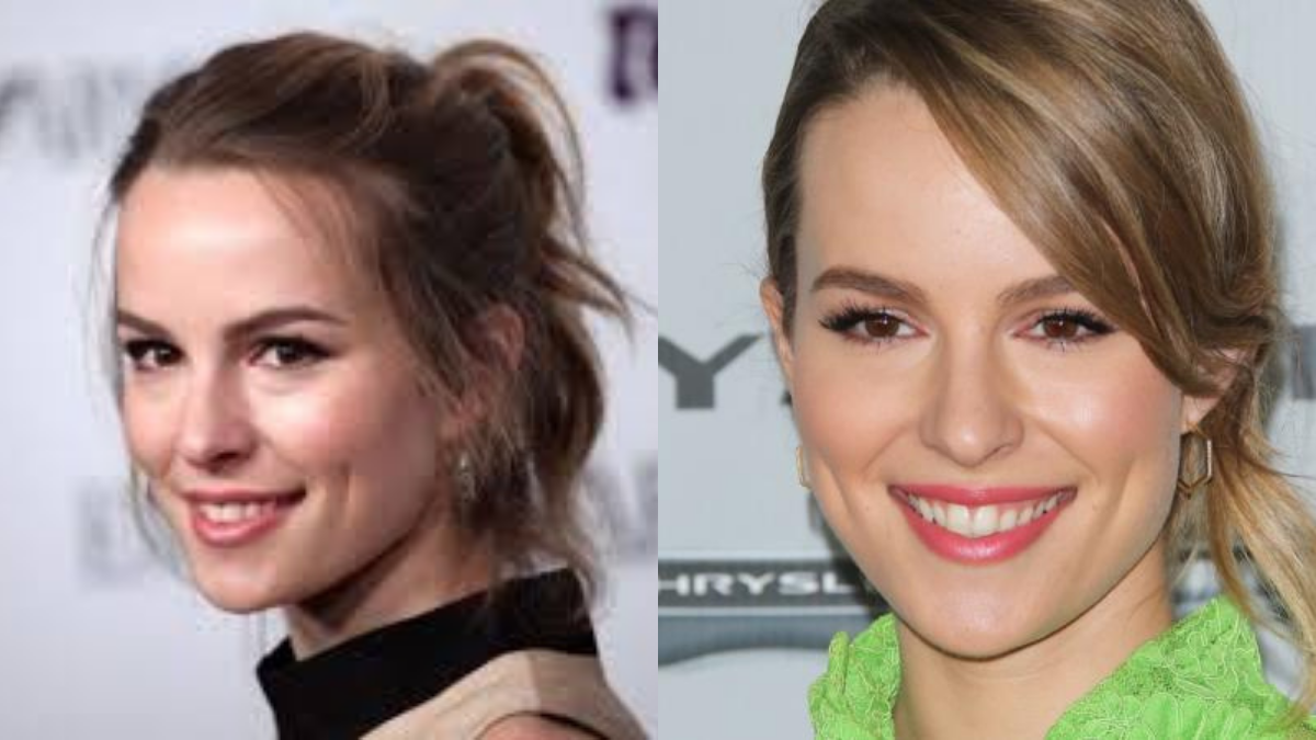 bridgit mendler linkedin